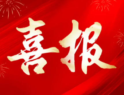 <b>喜报！武汉世隆科技斩获2026湖北省科创＂新物种＂瞪羚企业认定</b>